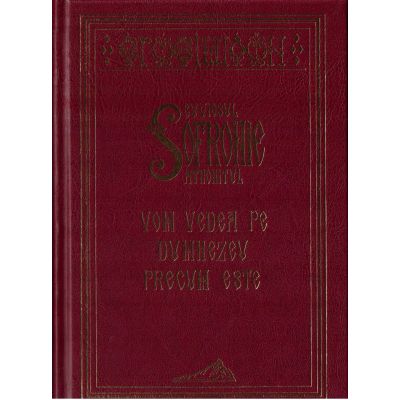 Vom vedea pe Dumnezeu precum este - arh. Sofronie Saharov