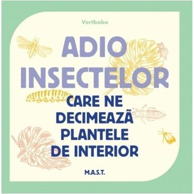 Adio insectelor care ne decimeaza plantele de interior -Vertbobo